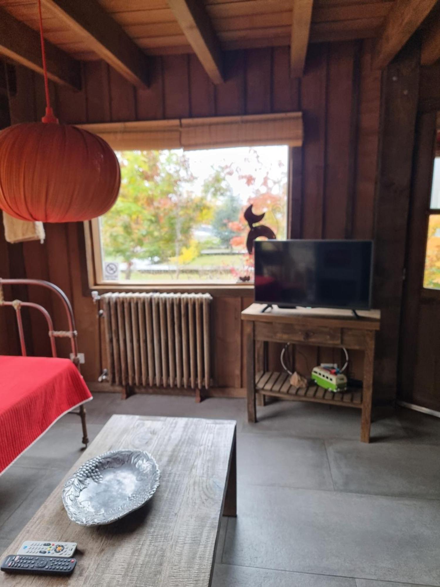 Chapa Pituca Boutique Apartment San Martin de los Andes Ngoại thất bức ảnh